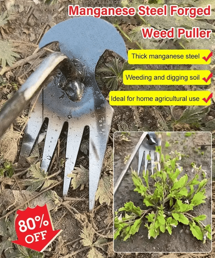 WeedMaster™ - Your Ultimate Weeding Tool