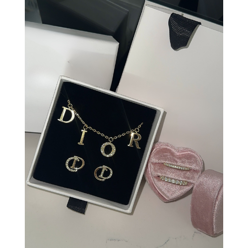 DR Earrings Exclusive (stainless steel)
