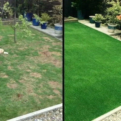 Biodegradable easy-care organic lawn seed mat