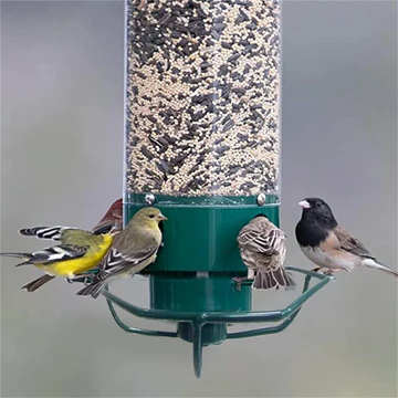 Anti-Squirrel Bird Feeder